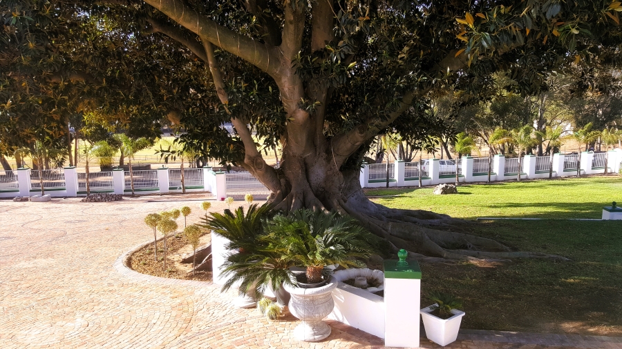 Commercial Property for Sale in Dalsig Western Cape